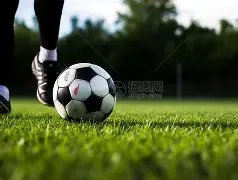 土耳其队遭,遇中国女排,首秀挑战,宝威体育官网,BaoWei,Sports,足球直播,篮球赛事,体育高清,NBA直播