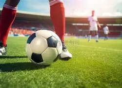 国际奥委会,副主席职位,花落贝克尔,宝威体育官网,BaoWei,Sports,足球直播,篮球赛事,体育高清,NBA直播